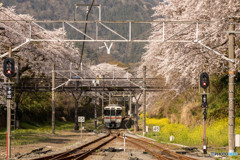 桜トンネルと御殿場線②