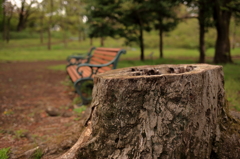 公園散歩３