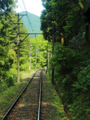 箱根の緑を車窓より