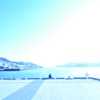 BLUE PORT