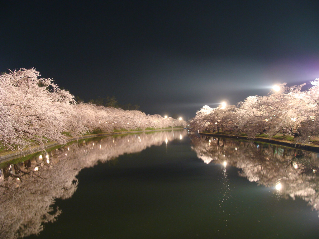 弘前桜祭り２０１０