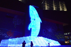 海遊館イルミネーション　5