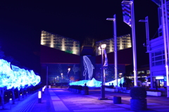 海遊館イルミネーション　8