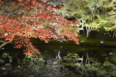 高台寺　臥龍池