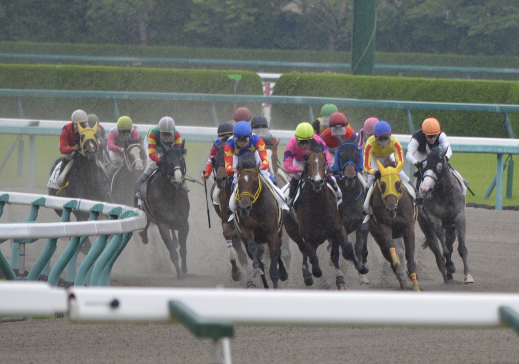  6月23日阪神競馬3R