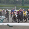  6月23日阪神競馬3R