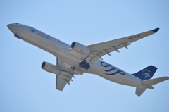 SKYTEAM