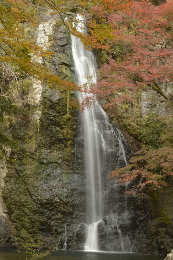 箕面の滝