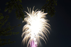 天神祭奉納花火　13