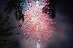 天神祭奉納花火　20