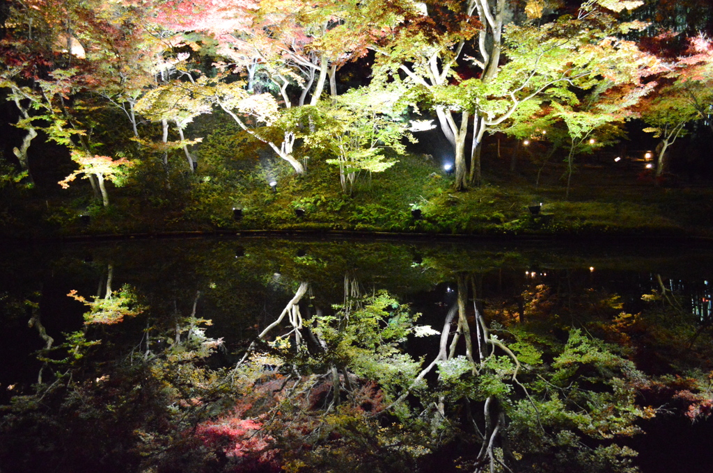 高台寺臥龍池（がりょうち）の水鏡1