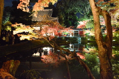 高台寺臥龍池（がりょうち）の水鏡2