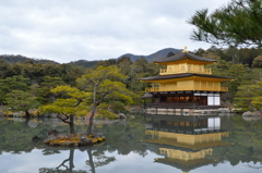 鹿苑寺の鏡湖池に映る逆さ金閣舎利殿