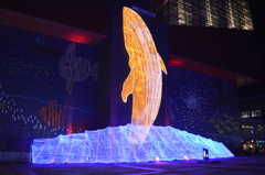 海遊館イルミネーション　3