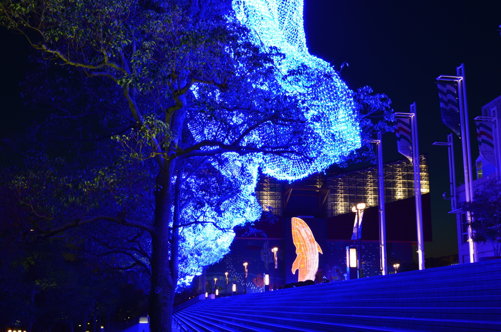 海遊館イルミネーション　2