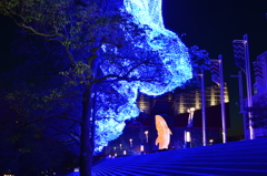 海遊館イルミネーション　2