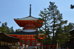 三鈷（さんこ）の松