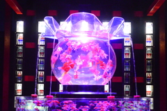 アートアクアリウム城　～京都・金魚の舞～