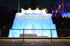 海遊館イルミネーション　1