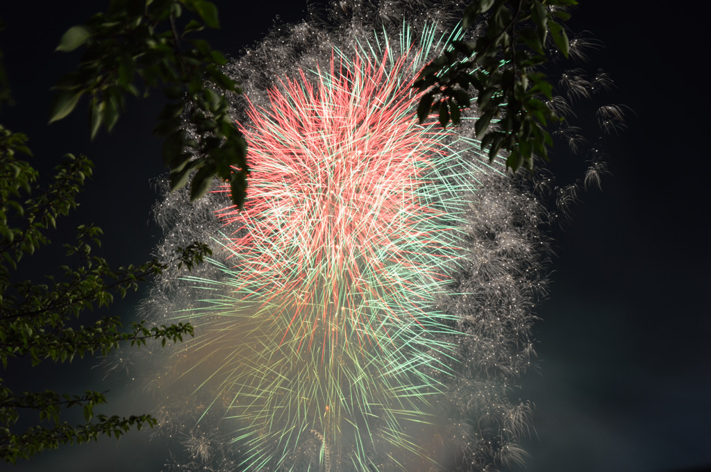 天神祭奉納花火　17
