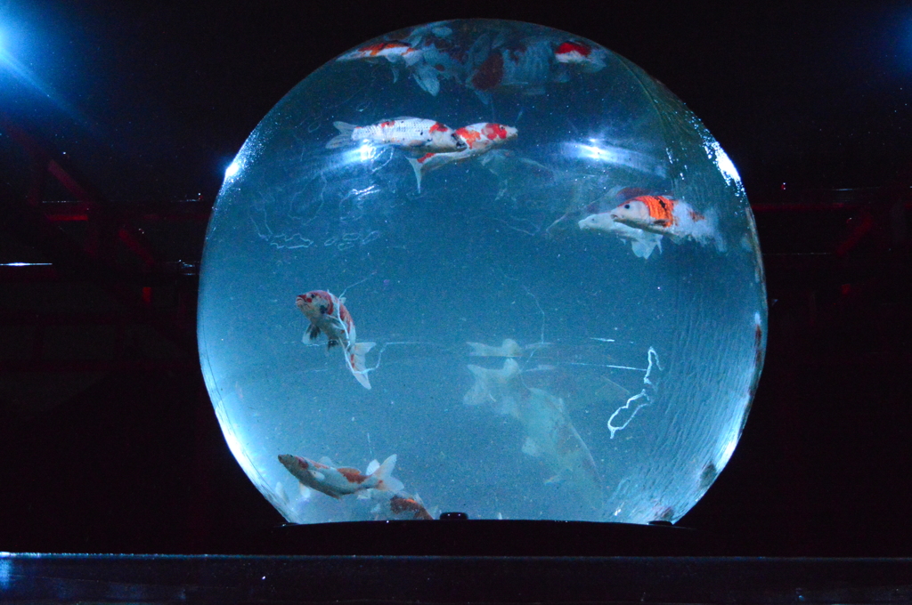 アートアクアリウム城　～京都・金魚の舞～