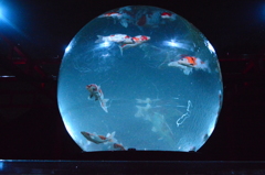 アートアクアリウム城　～京都・金魚の舞～