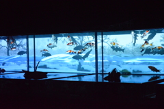 アートアクアリウム城　～京都・金魚の舞～