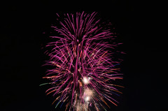 天神祭奉納花火　9