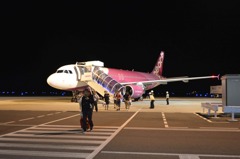 PEACH AIRBUS A320-200型