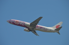 AIRCHINA 　ボーイング737-800