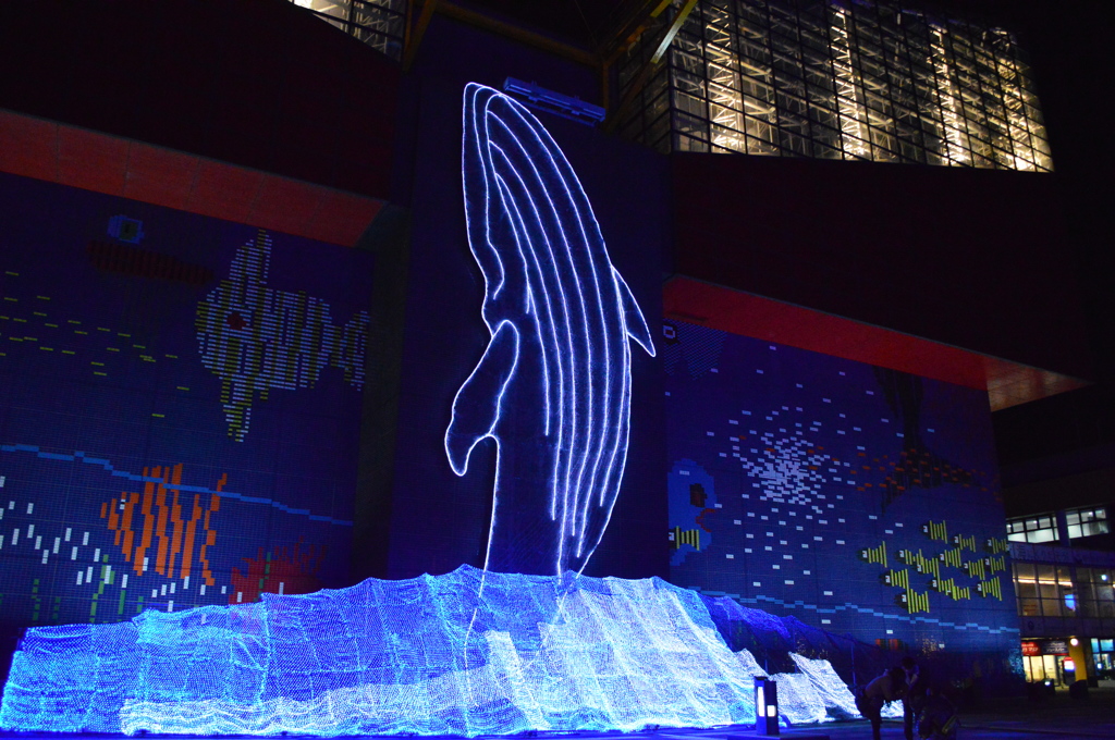 海遊館イルミネーション　6