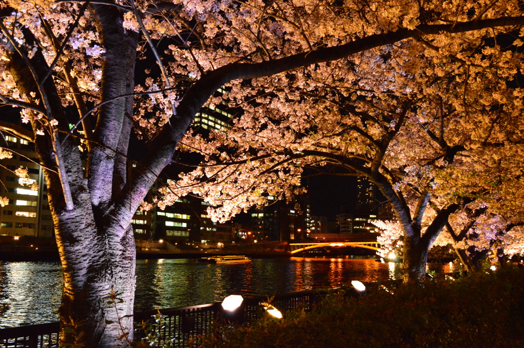 毛馬桜の宮公園