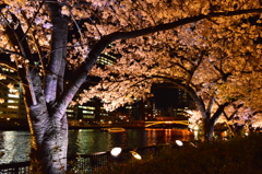 毛馬桜の宮公園