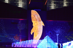 海遊館イルミネーション　4