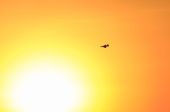 お天気