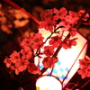 贅沢