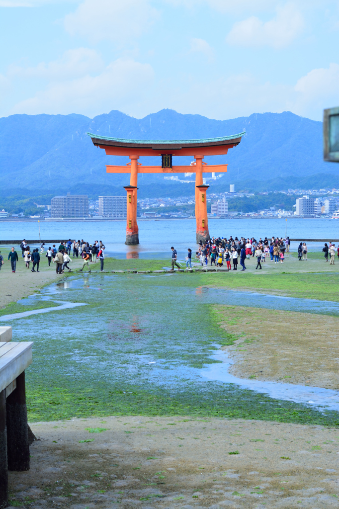 大鳥居