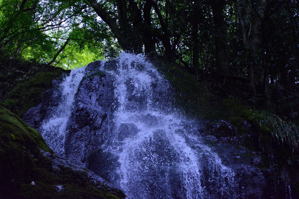 山口・白糸の滝