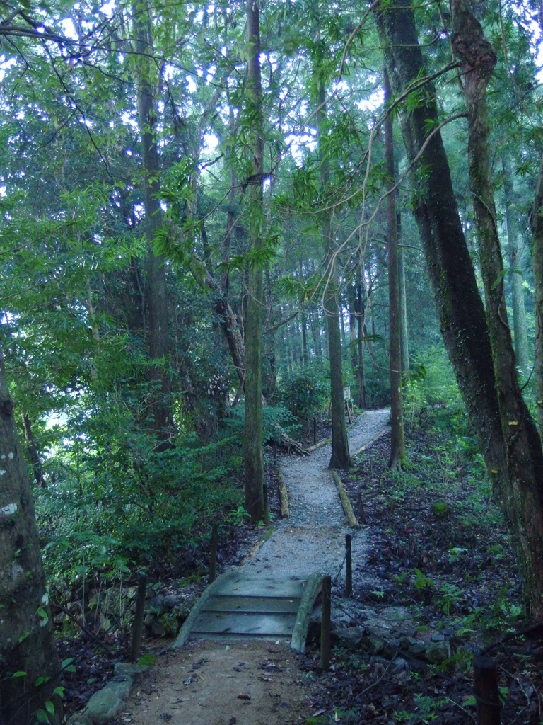 土佐神社お参りはこちら