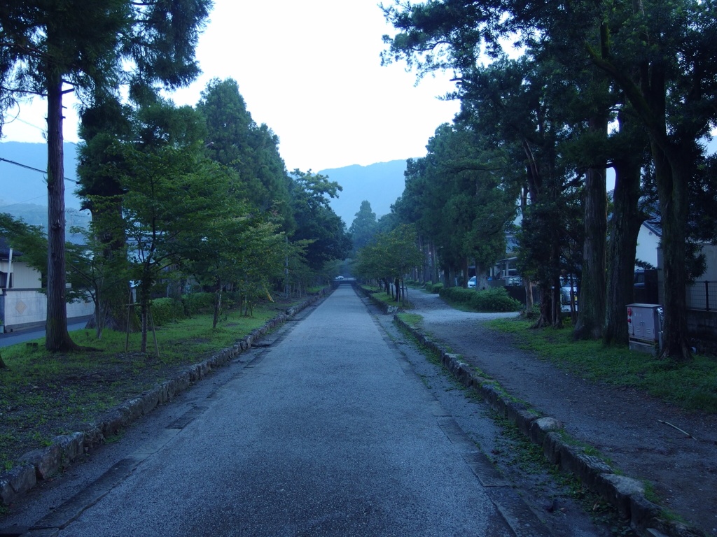 土佐神社