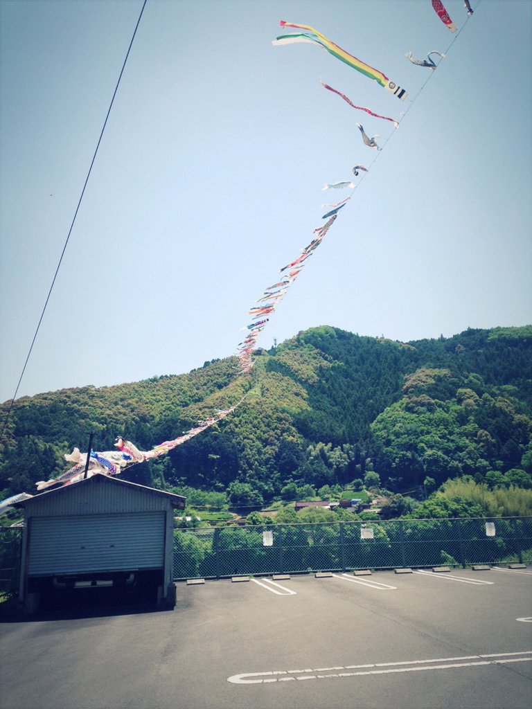 大空をわたる鯉のぼり