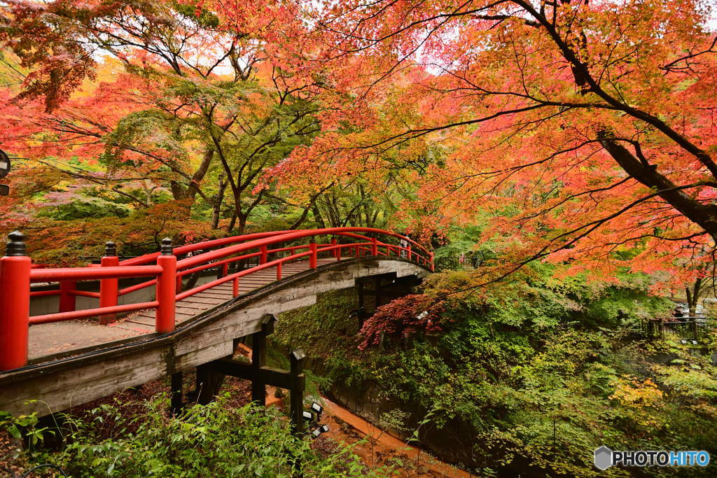 伊香保温泉もみじ橋