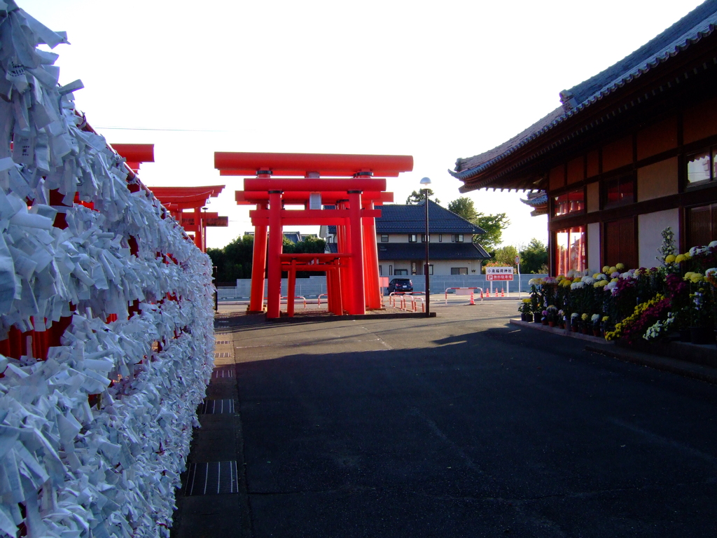 鳥居2