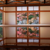 床もみじ(日中編)