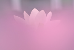 染まる白