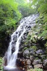 布滝