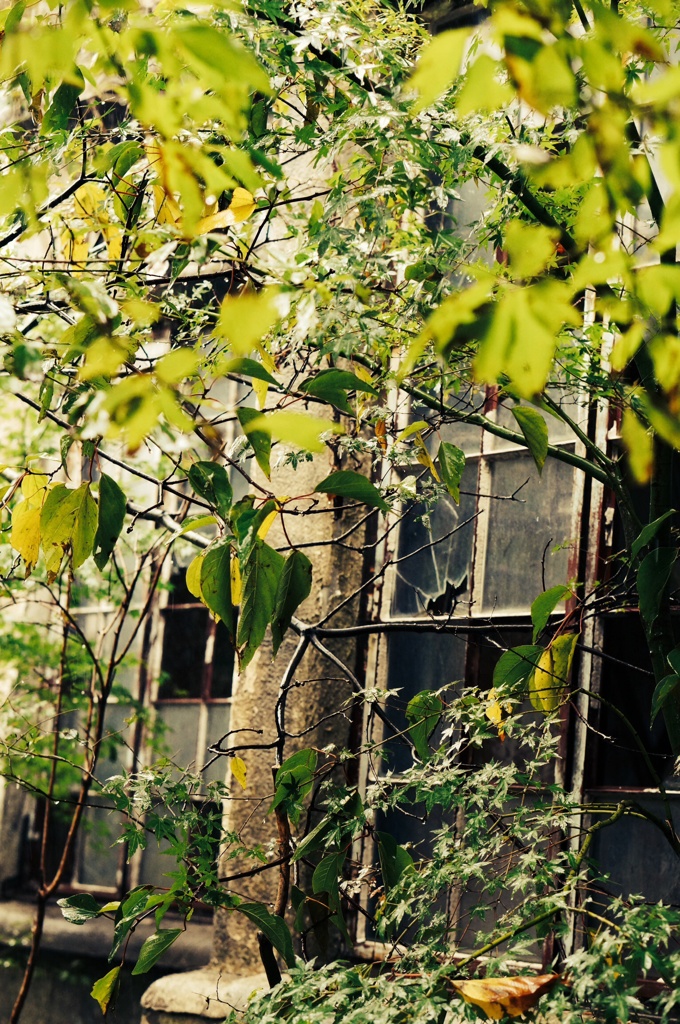 ruin