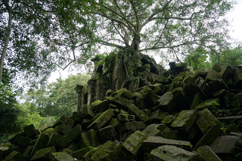 green#1
