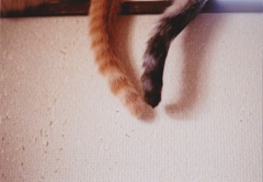 ぎりぎり