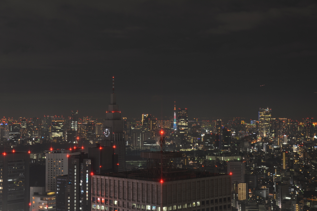 東京都庁からの夜景